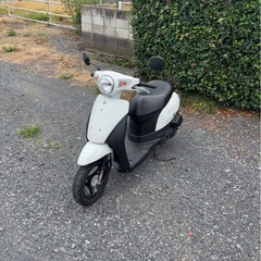 1091.動画あり　スズキ　レッツ　CA4AA 原付　バイク　50cc 車体　埼玉の画像