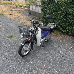 1092.動画あり　ホンダ　JA07スーパーカブプロ　小型　110cc バイク　車体　埼玉の画像