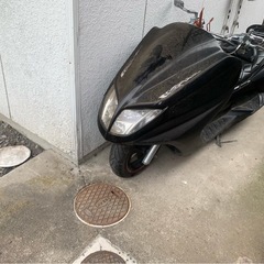 マグザムフルカスタムの画像