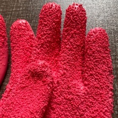 皮むきグローブの画像