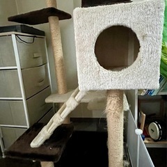 キャットタワーの画像