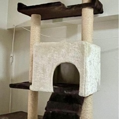 キャットタワーの画像