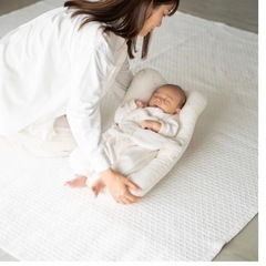抱っこふとん　サンデシカの画像