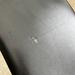 ベンチプレスセット＆腹筋台の画像