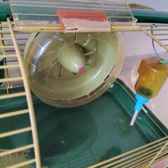 ハムスター　小動物　ゲージ　付属品ありの画像