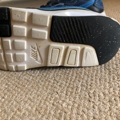NIKE 男の子　スニーカー　21センチの画像
