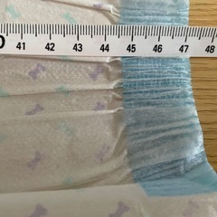ペット用オムツの画像