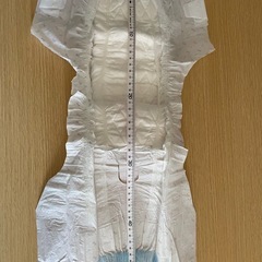 ペット用オムツの画像