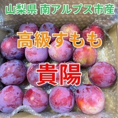南アルプス市産 すもも 貴陽 
