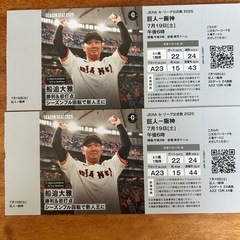巨人対阪神　　7月19日　ナイター　ネット裏シーズンシート　２枚