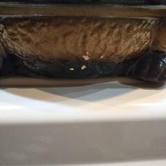 ぶんぶく茶釜  たぬきの灰皿の画像