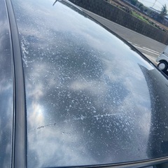 ダイハツ　ミラ　車検１２月までの画像