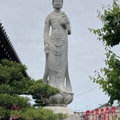 名東区　本成寺ヨガの画像
