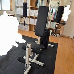 TECHNOGYM レッグエクステンション・カール2台セット（引取り限定） TECHNOGYM レッグエクステンション・カール2台セット（引取り