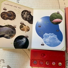 こどもちゃれんじ　ぷち(1-2歳) 絵本、DVD、おもちゃの画像
