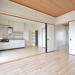 新潟県村上市　初期費用ゼロ　家賃33000円　生活保護可 - 賃貸（マンション/一戸建て）