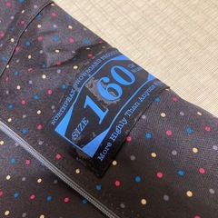 スノーボードケース 160cmの画像
