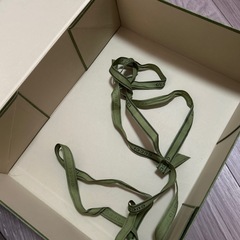 GUCCI 箱のみ
の画像