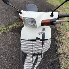ホンダ スーパータクトAF09 実動車の画像