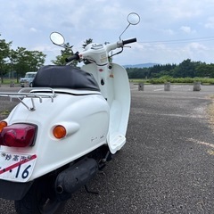 HONDA ジョルカブ　giorcub 実動車
の画像