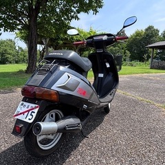 ホンダ DJ1-RR AF19 実動車の画像
