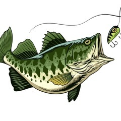 バス釣り仲間募集