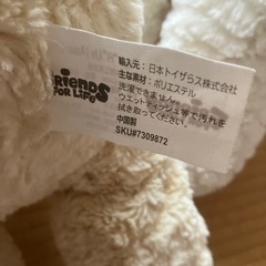 クマのぬいぐるみの画像