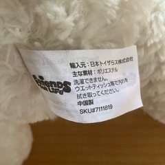 クマのぬいぐるみの画像