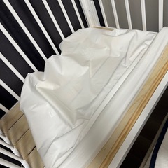 【美品】そいねーる ミニ ホワイトの画像