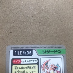 ポケモンカードダスFILE No.006リザードンの画像