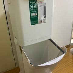 ASVEL キッチン分別ゴミ箱 40Lの画像