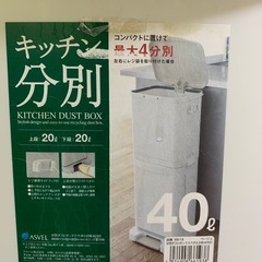 ASVEL キッチン分別ゴミ箱 40Lの画像