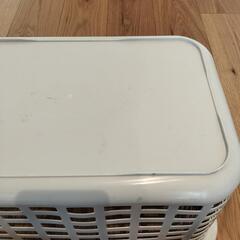 無料＆美品！プラスチック製洗濯かごの画像