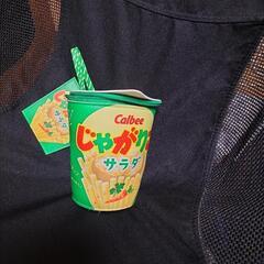 おもちゃの画像