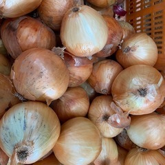 玉ねぎ　3キロ　大玉の画像