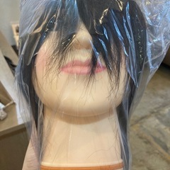 カットウィッグの中古が安い！激安で譲ります・無料であげます