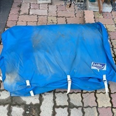 【現状お渡し】小型ゴムボートの画像