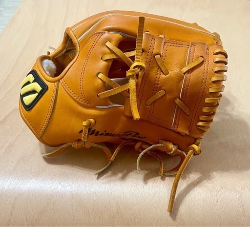 希少品 ミズノプロ ビッグM グローブ