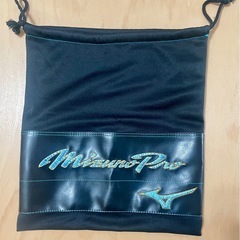 希少品　ミズノプロ　ビッグM グローブの画像