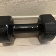 10Kgダンベルの画像