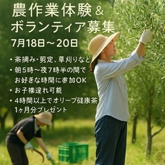 【千葉県：農作業体験＆ボランティア募集のお知らせ】 