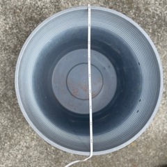 リーフ社製の睡蓮鉢、メダカ鉢の画像