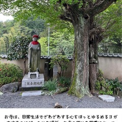 相模原市緑区:お寺ヨガ🧘🏻‍♀️はじめてみませんか？の画像