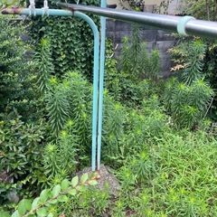 物干しざお台セット差し上げます。の画像