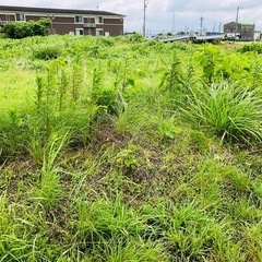 ※依頼先決定しました　土地【津市伊倉津町】15,000円で依頼　...