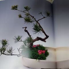 小原流の様式集成の本の画像