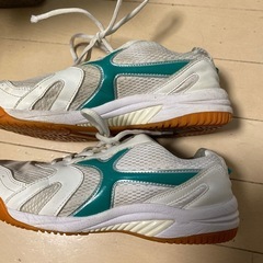 宝木中学校　体育館シューズの画像