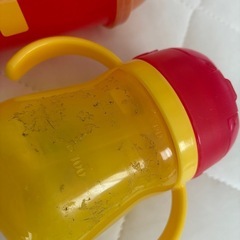 マグまとめ売りの画像