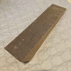 爪研ぎ　の画像