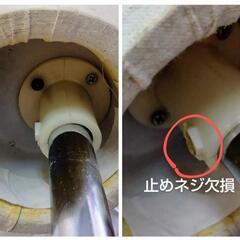 レディース マネキン の画像